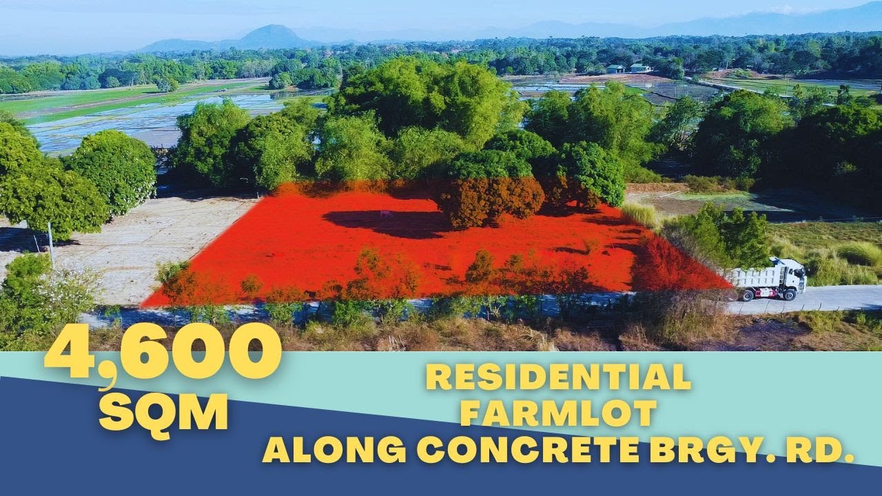 (V#172) 4,600SQM Residential Farm Lot Along Concrete Brgy. RD. @Cuyapo, Nueva Ecija With Aerial View