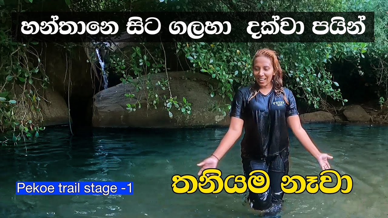 🥾 Pekoe Trail Stage 1 – Hanthana to Galaha | Sri Lanka’s Most Scenic Tea Country Hike 🇱🇰