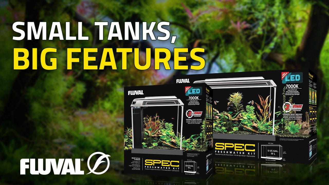YOUR FIRST AQUARIUM, DONE RIGHT | Fluval Spec Series