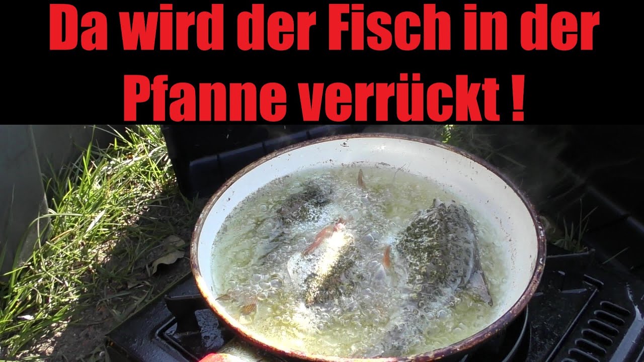 Da wird der Fisch in der Pfanne verrückt - SUCHTGEFAHR !- Fische angeln & zubereiten - Anglerschwatz