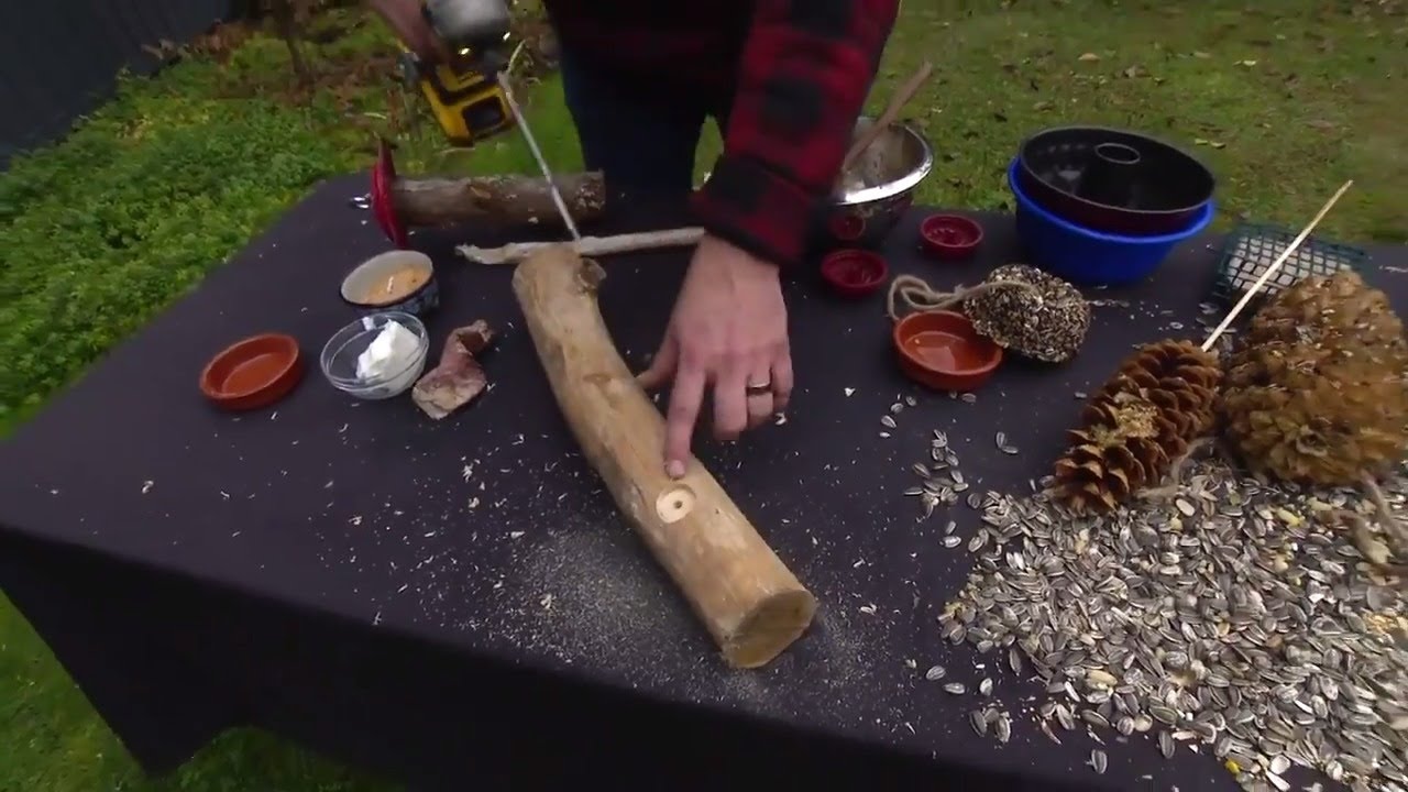Here's how to make your own homemade bird feed