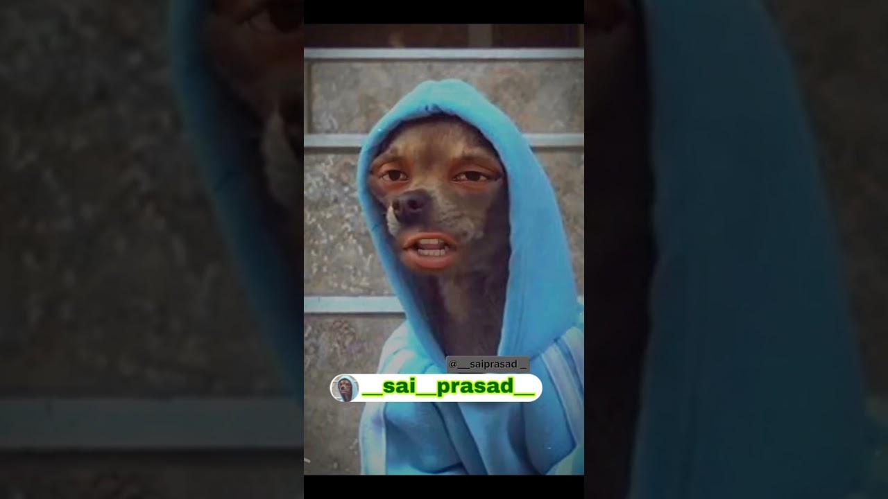 Sai Prasad videos trolling videos rostysai95