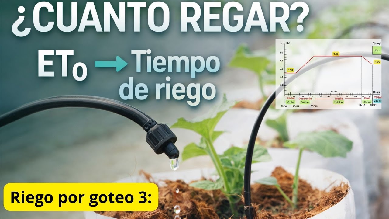 Riego por goteo 3: Cálculo del tiempo de riego.