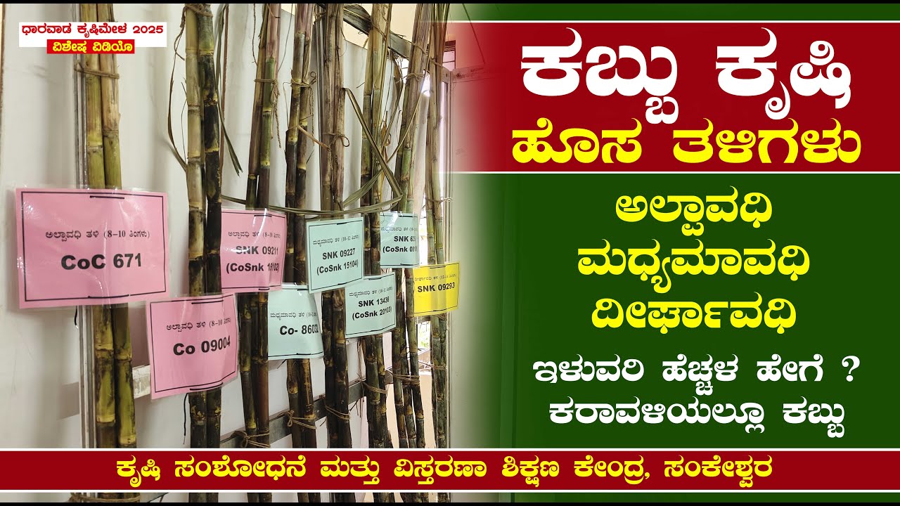 ಕಬ್ಬು ಹೊಸ ತಳಿಗಳು | ಹೆಚ್ಚು ಇಳುವರಿ ಹೇಗೆ | Sugarcane Farming | Dharwad Krishi mela 2025