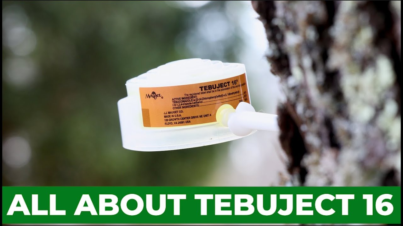 Tebuject 16 Explained | How Systemic Fungicides Protect Trees from Within