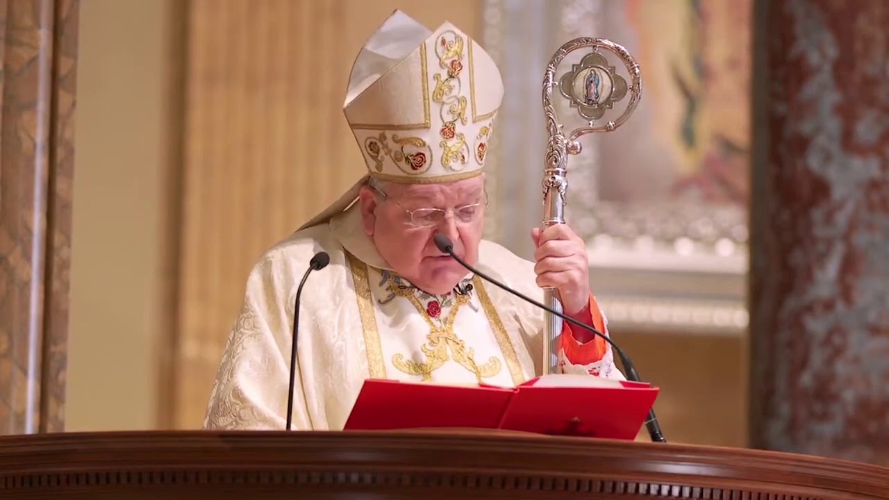 Cardinal Burke: Forces of the 'Great Reset' have used COVID to advance 'evil agenda'