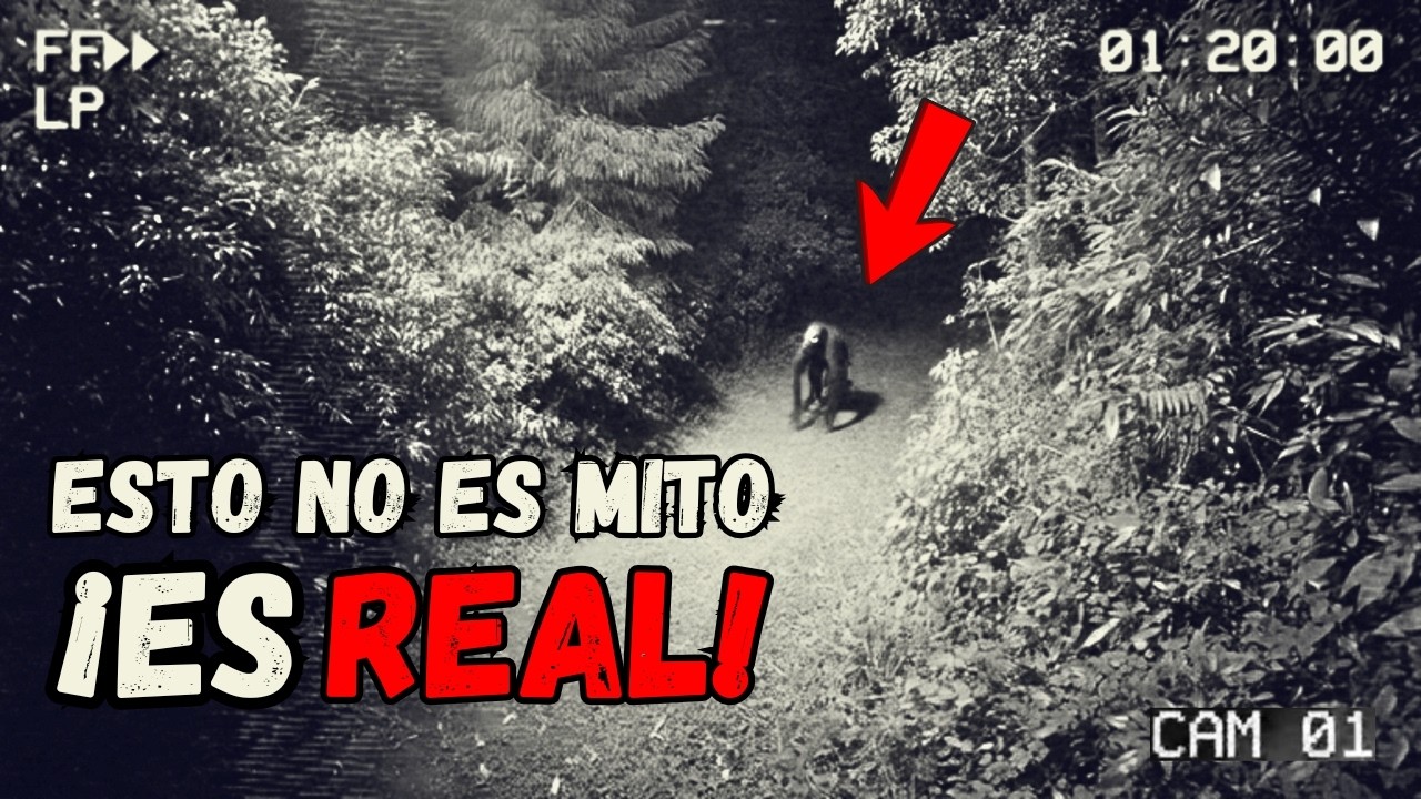 Testigos Vieron Estas 6 Criaturas Reales… y Jamás Volvieron a Ser Iguales