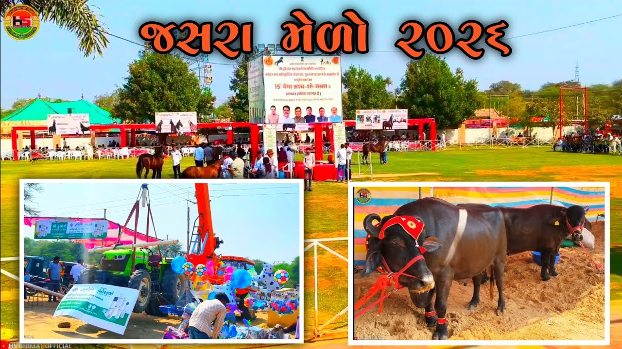15મો મેગા અશ્વ શૉ જસરા 2026 || Jasara || Budheswar Mahadev temple