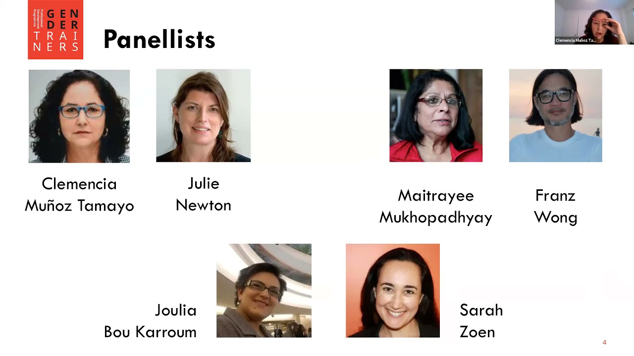 Professional Development Programme for Gender Trainers, Promotional Webinar