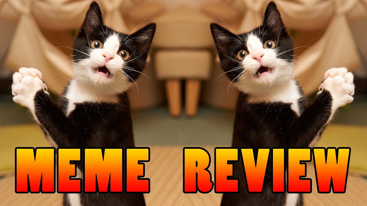MEME REVIEW! Buckle Up and Get Ready to Get Dank!