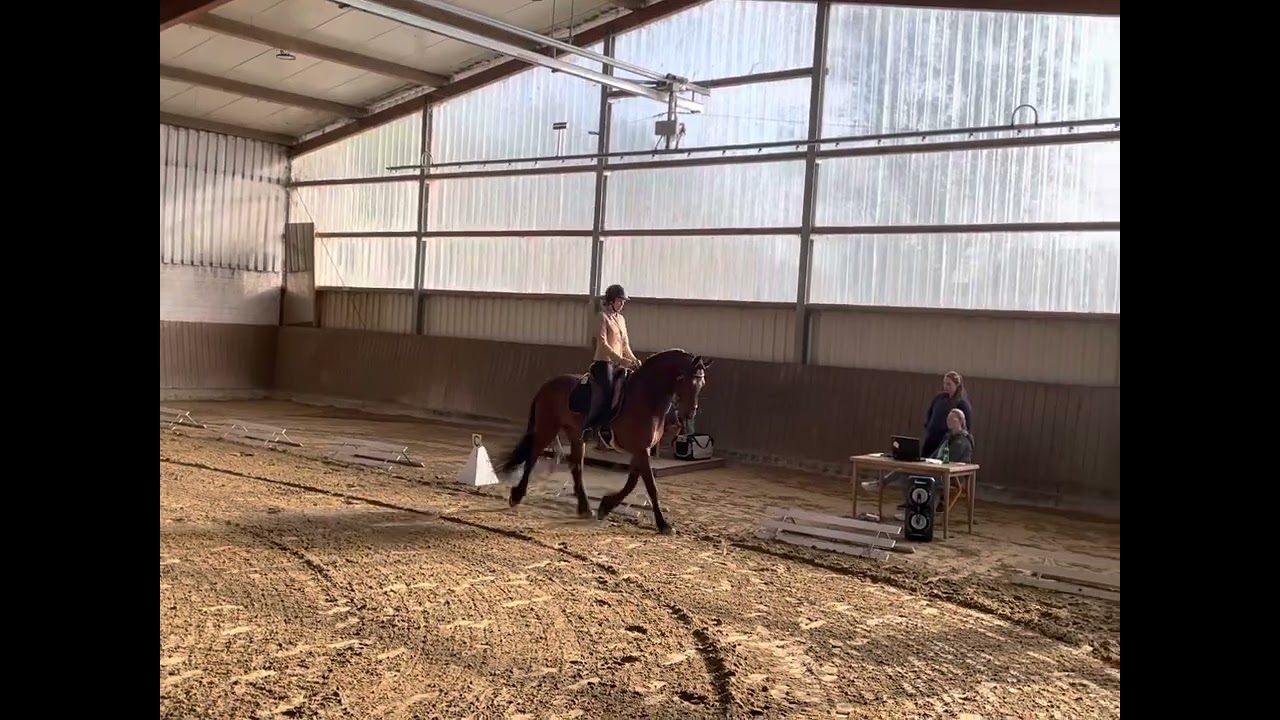 Working Equitation Dressur der Klasse A (WA2) beim 3. Münsterland Cup 2022