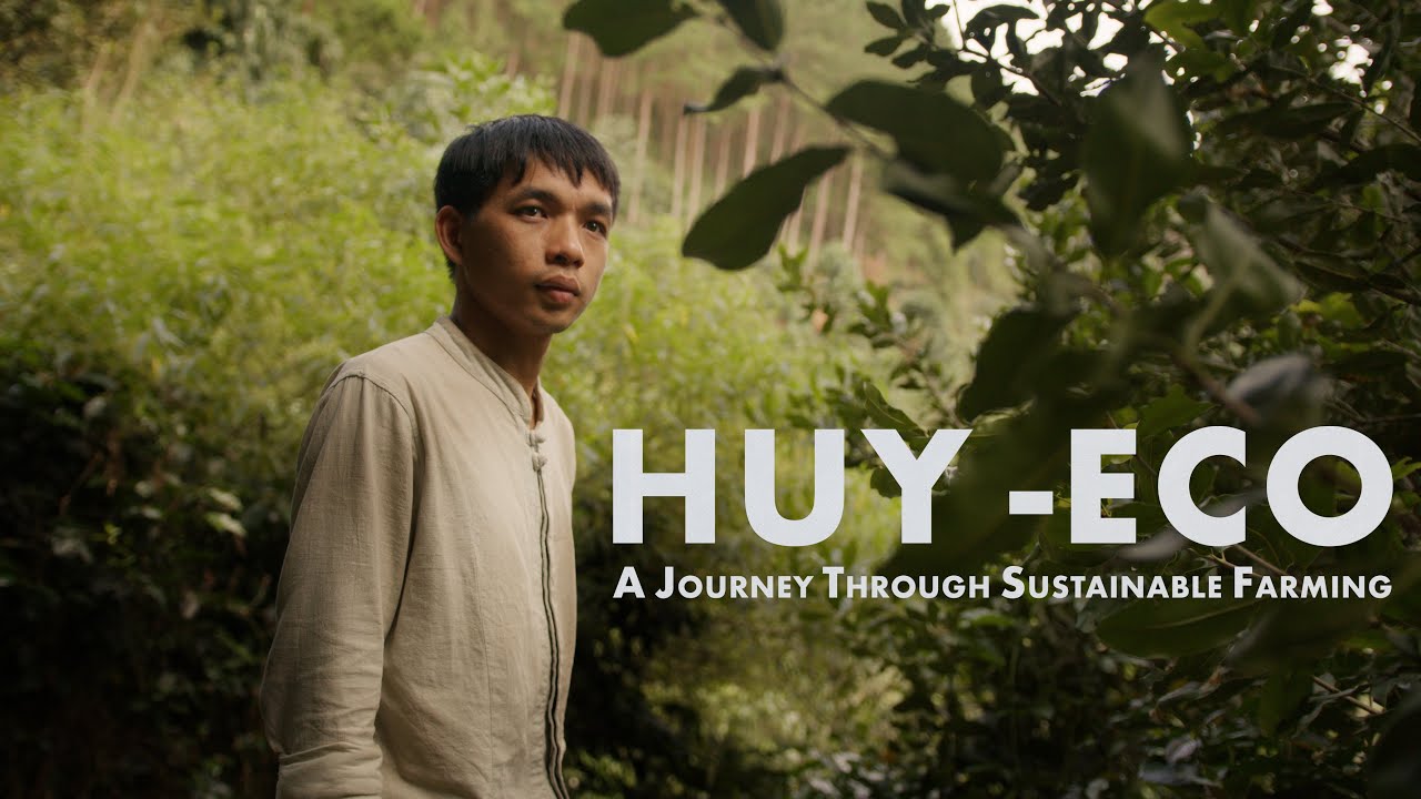 HuyEco - (Volunteering at a Coffee Farm in Vietnam: A Journey Through Sustainable Farming.)