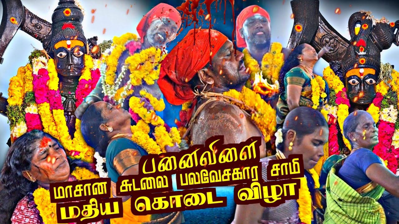 பனைவிளை மாசான சுடலை பலவேசகார சாமி கோவில் கொடைவிழா ll மதிய பூஜை ll RDS MEDIA