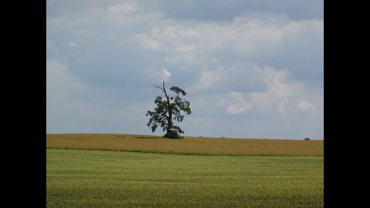 Radtour Rechlin Nord Müritzsee Mecklenburger Seenplatte