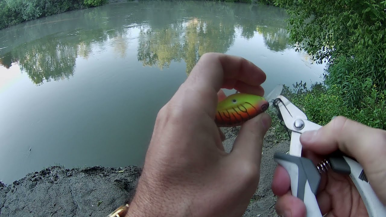 Spinning catfish with crank