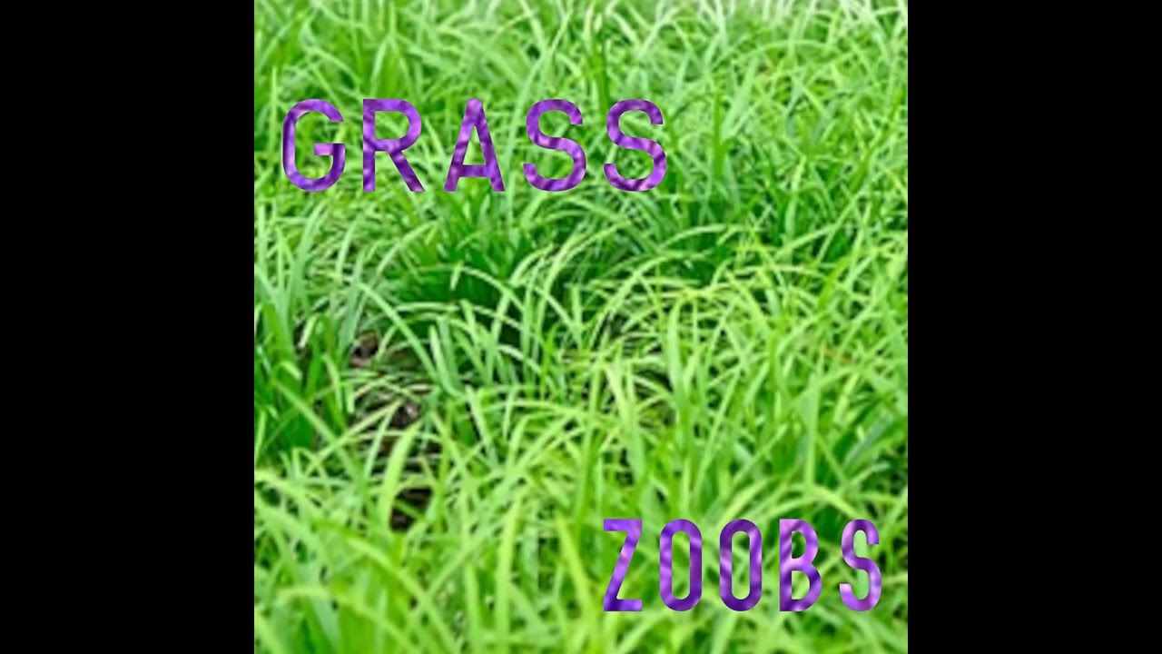 grass