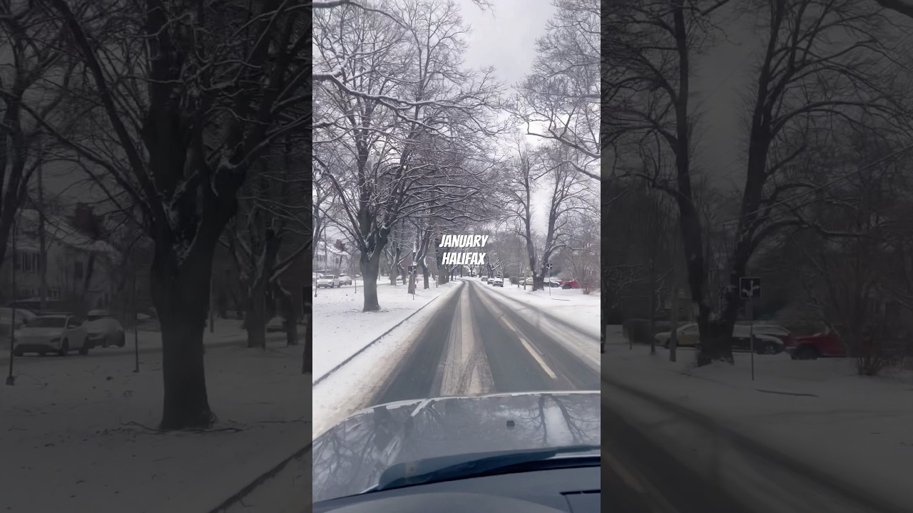 January in Halifax. 