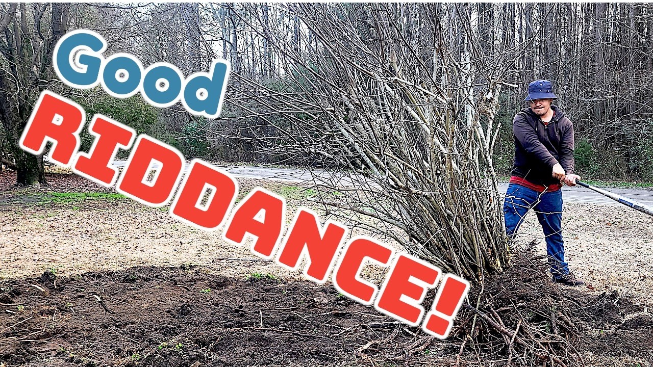 Спустя 15 лет эту штуку НУЖНО ИЗБАВИТЬСЯ!