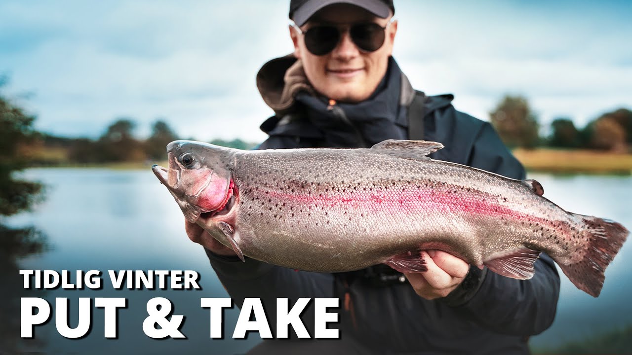 Early Winter Fishing For Rainbow Trout! Visiting My Favorit Trout Lake - Plenty Of Fish!