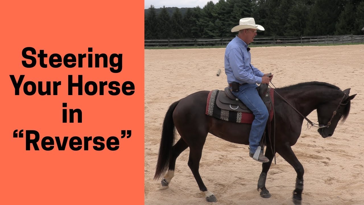 Steering Your Horse in 
