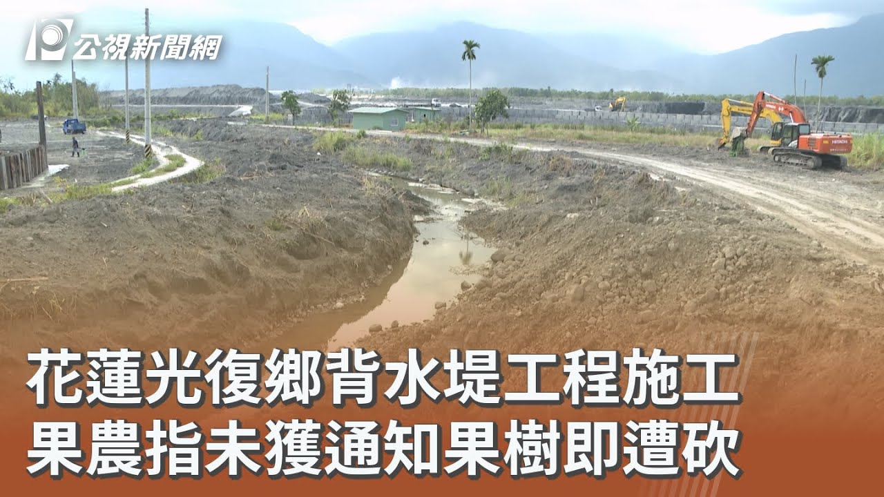花蓮光復鄉背水堤工程施工 果農指未獲通知果樹即遭砍｜20260319 公視午間新聞