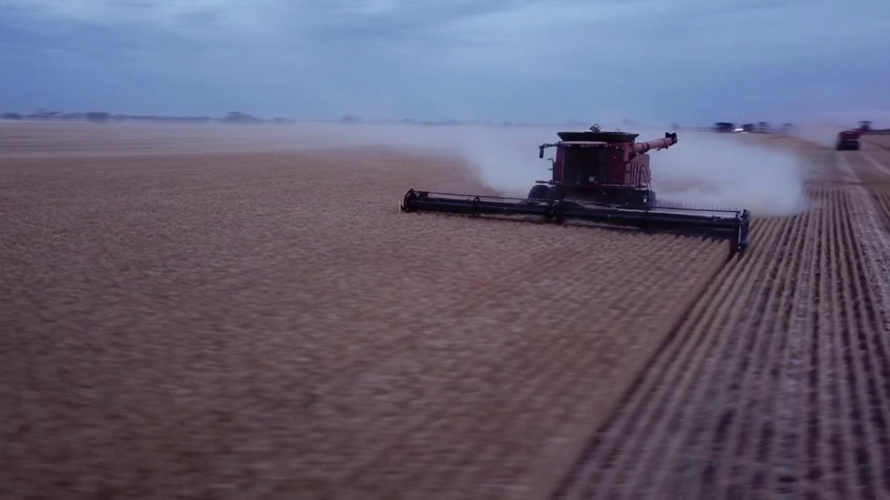 Harvest in the Mallee 2019-20 (Australia)