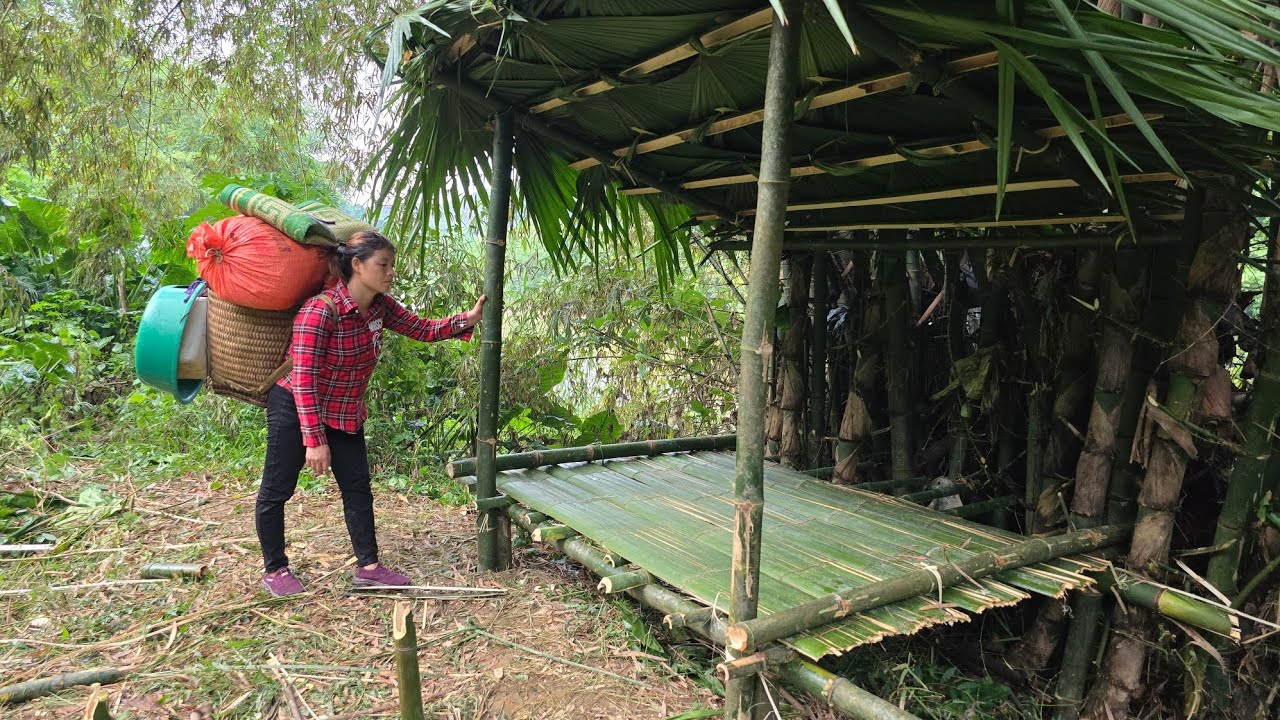 The land lease contract expired, Ly Phuc Ca packed his luggage and set up a tent by the riverbank