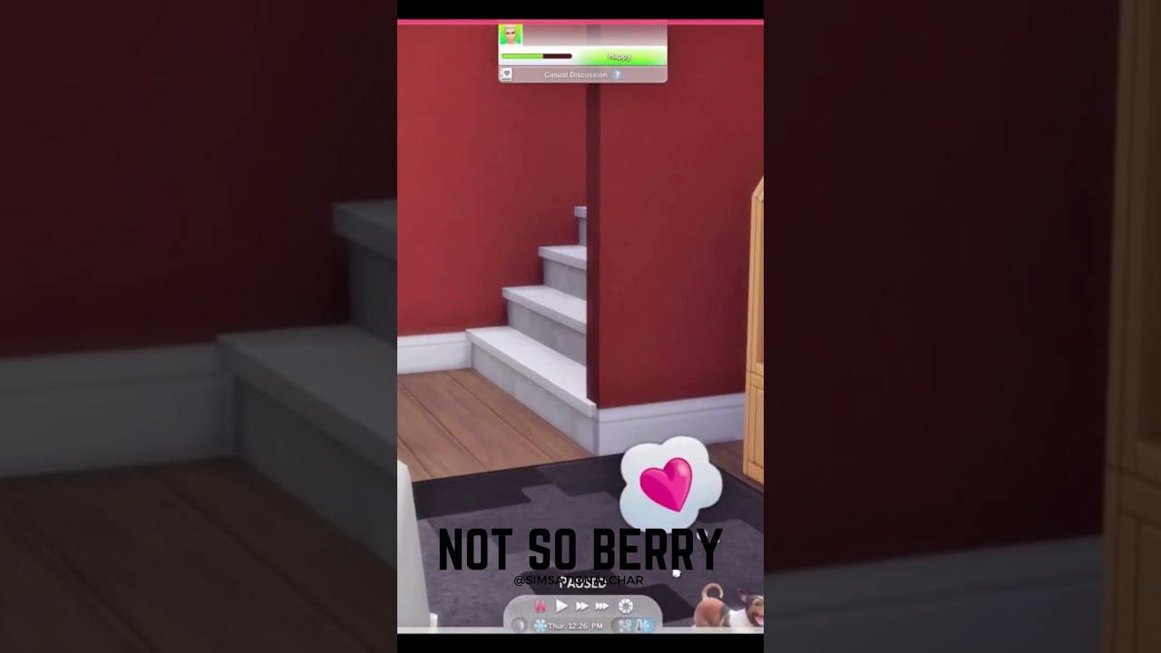 Welcome Fidget! 🐾 |  #notsoberrylegacychallenge #sims4 #notsoberrychallenge #thesims4