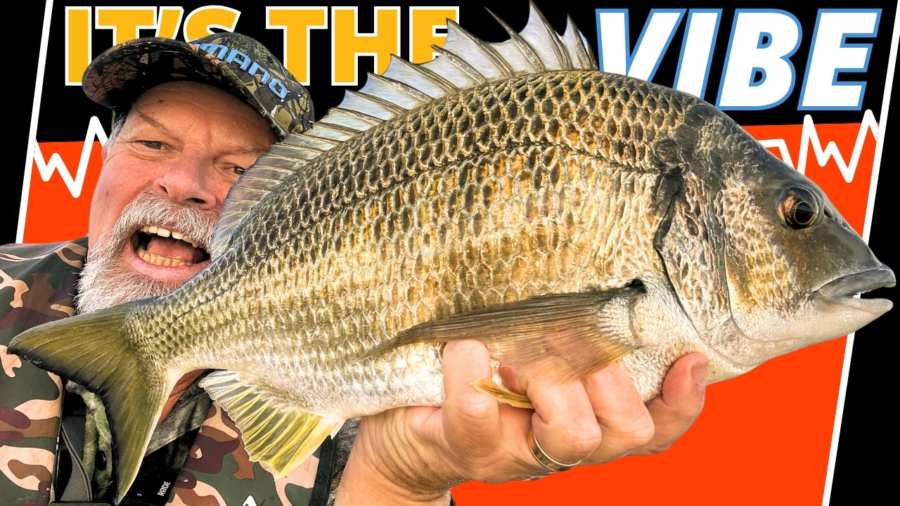 Vibes & Blades: DEADLY Lures And How To Use Them!