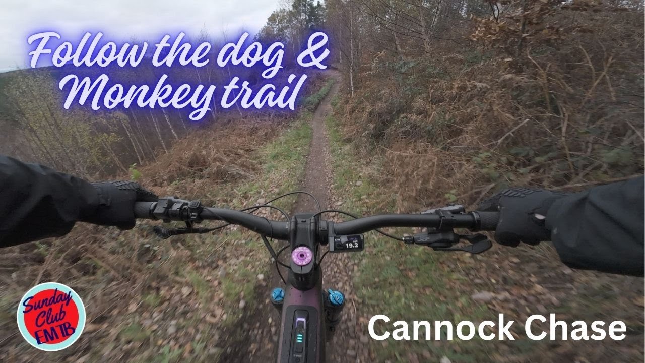 Follow the Dog & Monkey Trail Cannock Chase