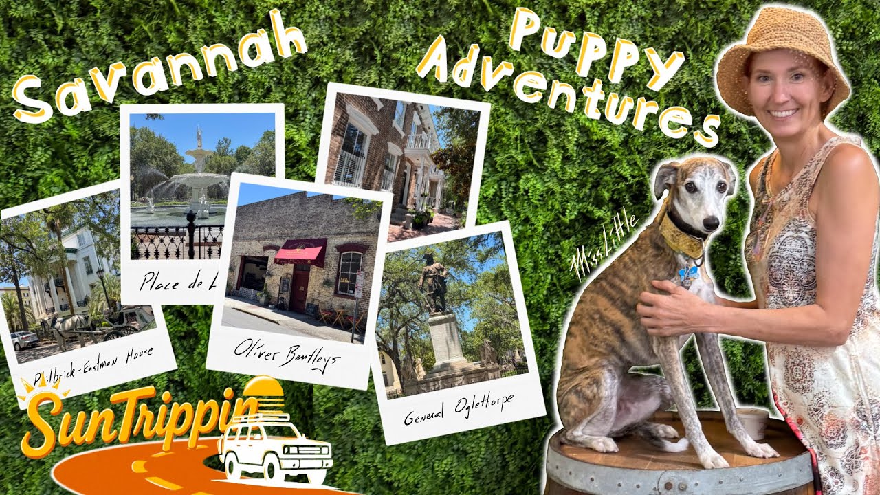 Next Exit: Savannah, GA | Oliver Bentley’s Walk & the City’s Pawsome History