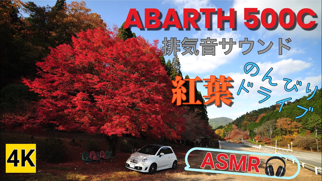 ［4K ASMR］ABARTH 500Cマフラーサウンドを聴きながら紅葉ドライブ