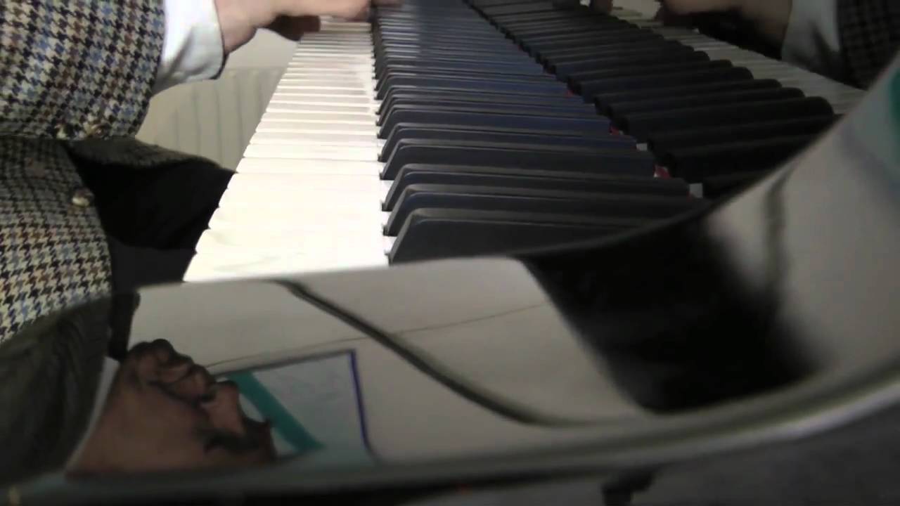 Steinway Model D 1916 Hamburg - Jan Eyron