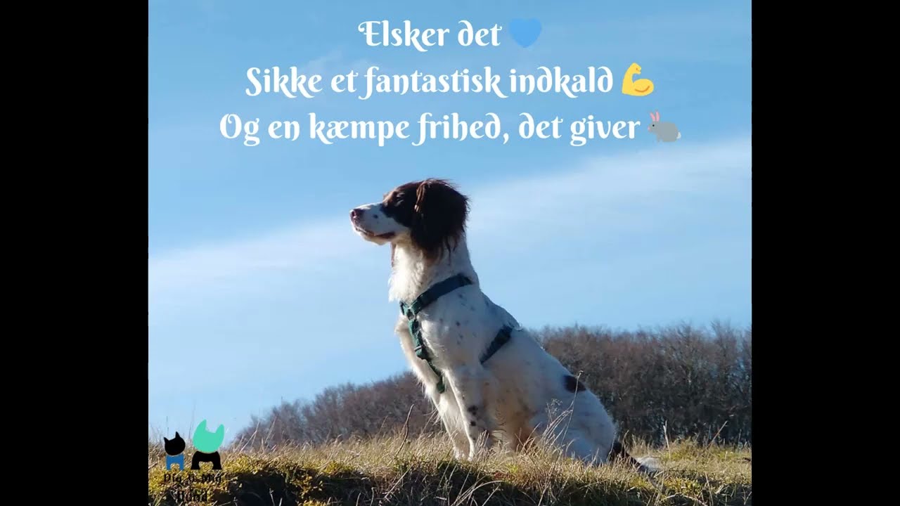 Elsker det! Sikke et fantastisk indkald