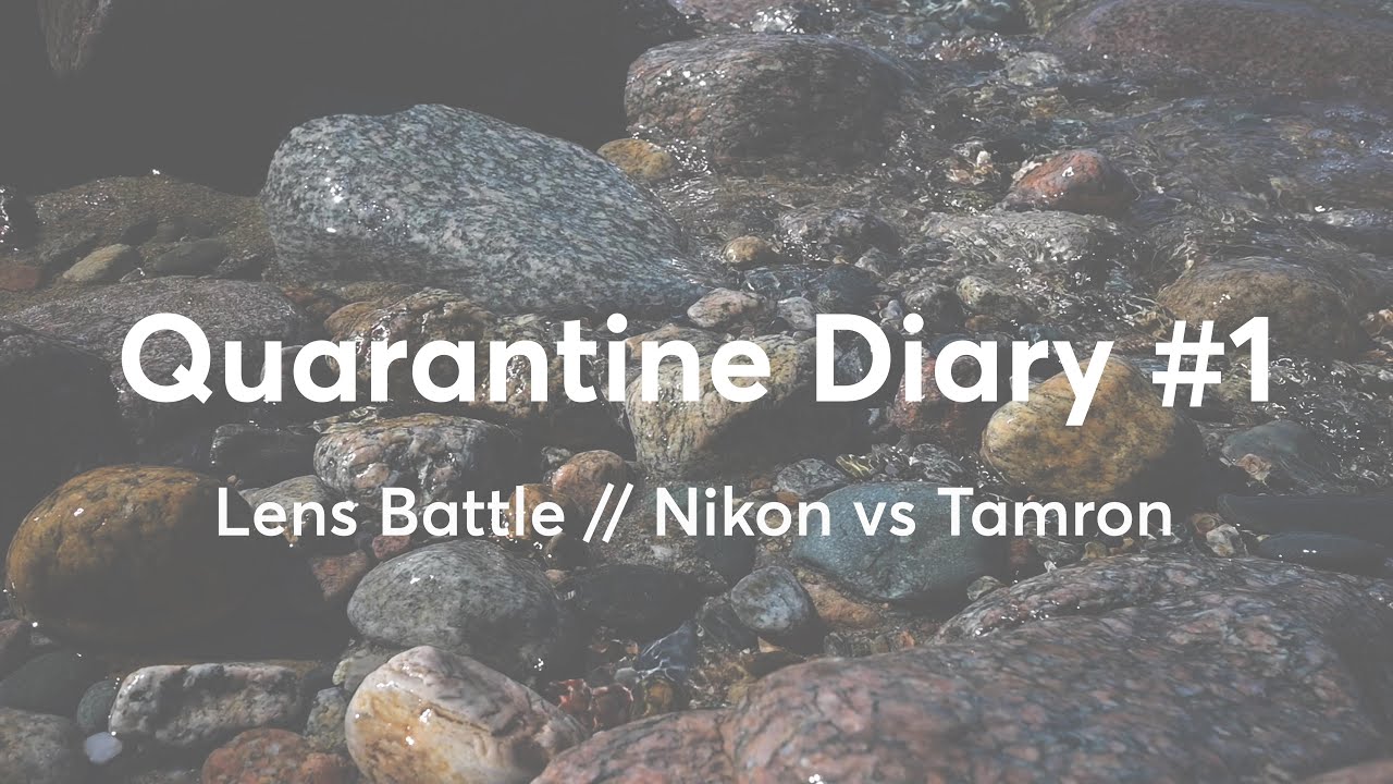 Quarantine Diary #1 - Lens Battle - Nikon Z vs Vintage Tamron
