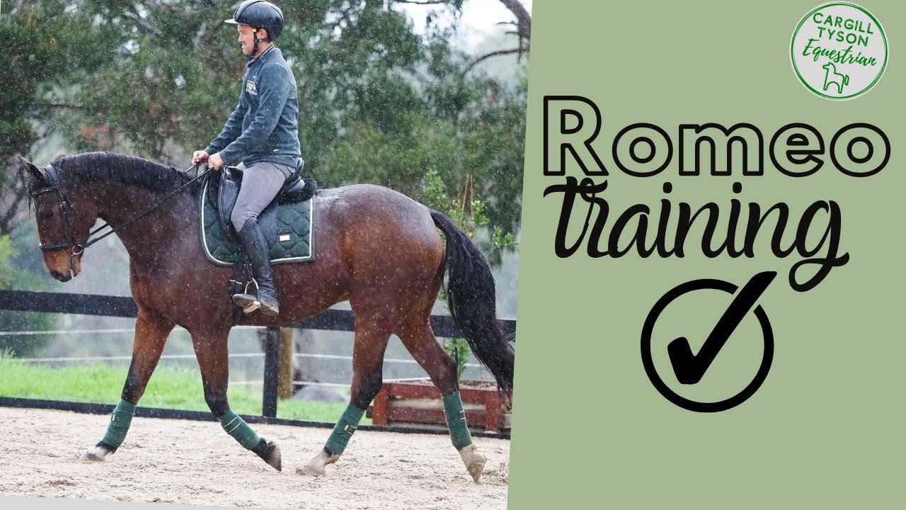 Baby WB Romeo has completed his 5 week 