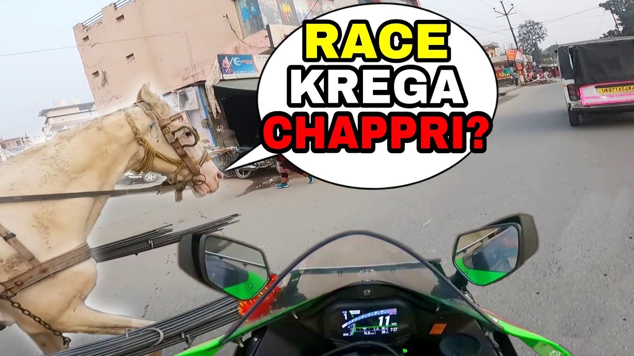 Horse Wants To Race My Superbike | SHOCKING College Girl Reaction on Ninja Zx10r |Public Reaction on