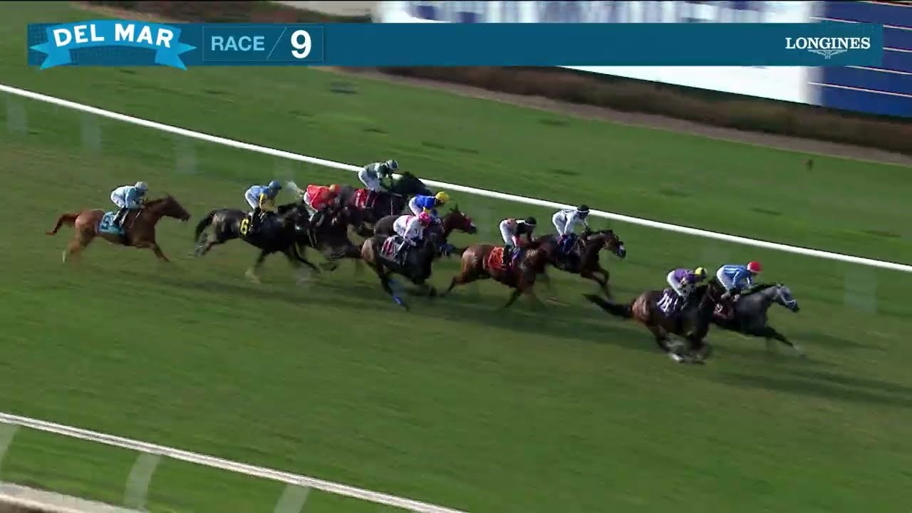 Delightful Laura wins race 9 at Del Mar 8/10/25