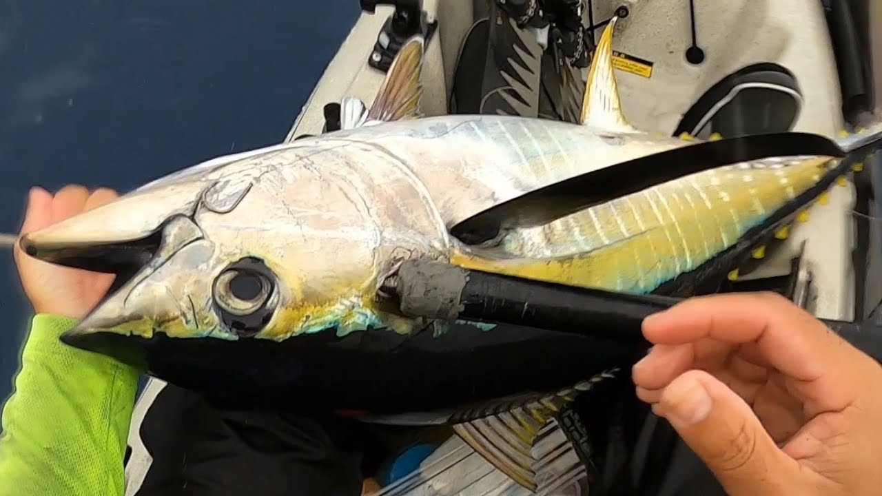 Hawaii Kayak Fishing: Yellowfin Tuna and Mahimahi with a side of WIND