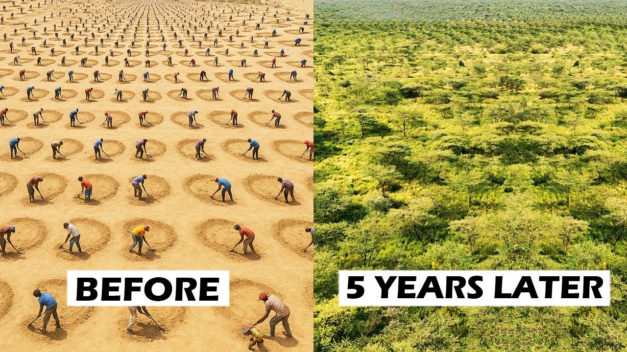 How Kenyans Are Restoring Forests Using Simple Holes in the Ground