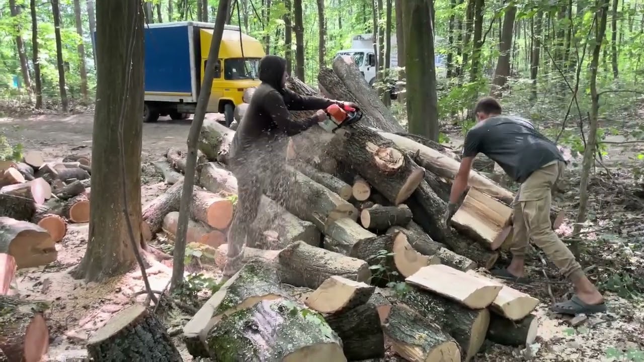 STIHL MS 361 or MS 462 C-M? Extreme Work Test