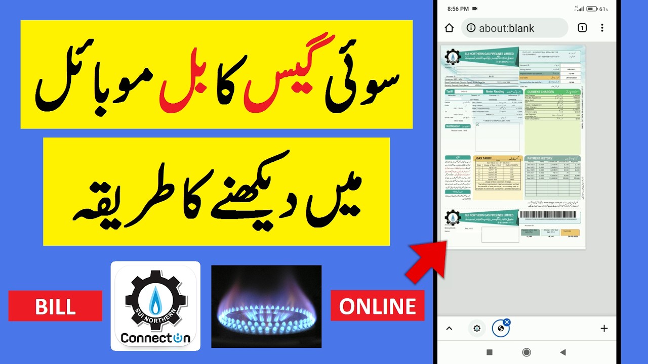How To Check Sui Gas Bill Online | Gas Ka Bill Check Karne Ka Tarika