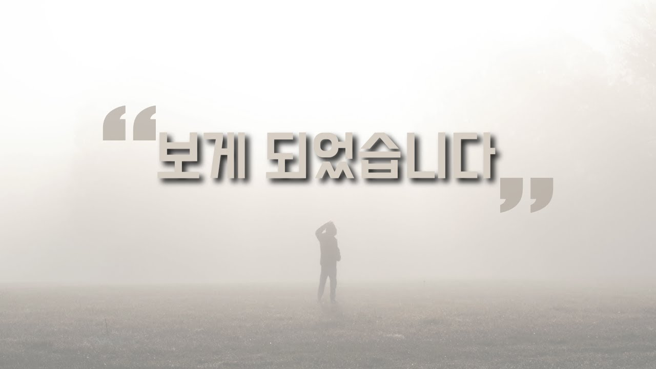 ✏️보게 되었습니다