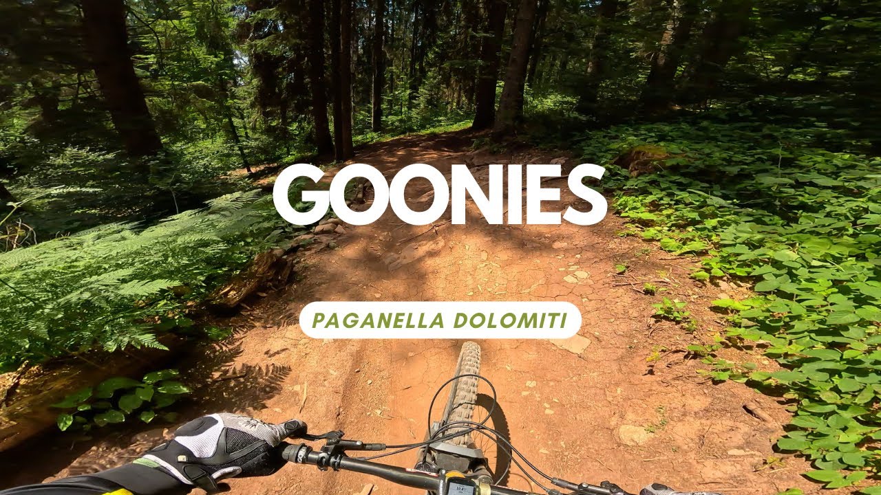 Goonies Flow Line BIkepark Paganella Dolomiti Italy 🇮🇹  full run POV RAW
