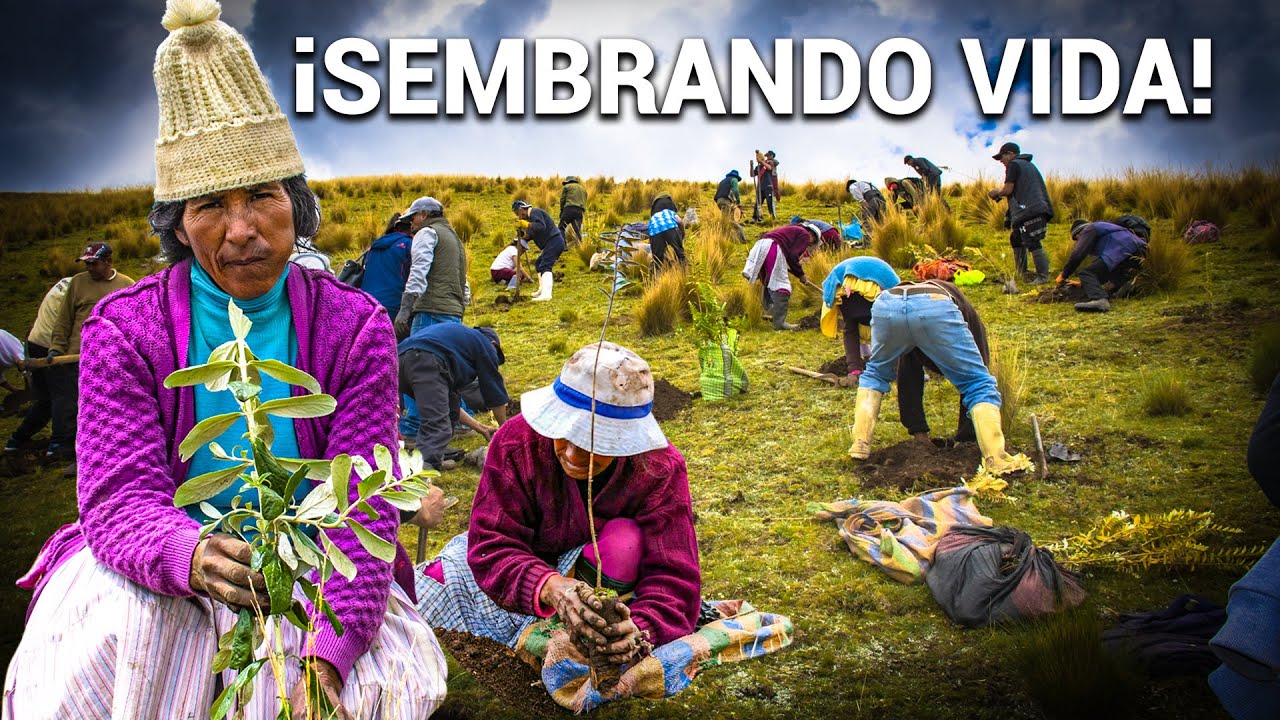 El secreto andino para transformar desiertos en oasis verdes
