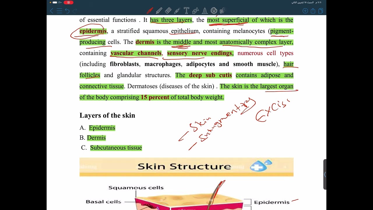 حالات حرجة- الحروق Burns 🔥- المرحلة الرابعة- قسم التمريض 