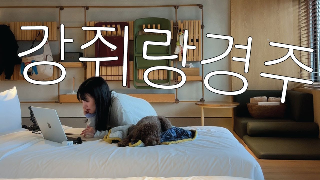 강쥐랑 호캉스(경주 키녹/황리단길 찍먹)