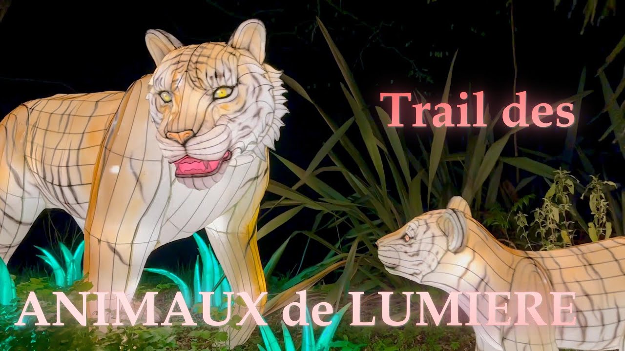 15/11/24 : 1er Trail des Animaux de Lumière Pont-Scorff : Une expérience unique à ne pas manquer !