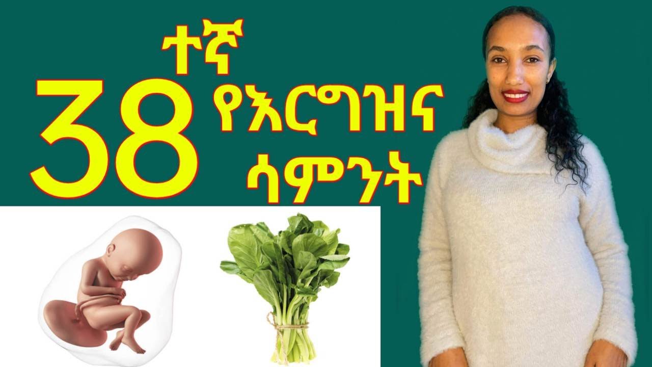 የእርግዝና ሰላሳስምንተኛ ሳምንት // 38 weeks of pregnancy ;What to Expect @seifu on ebs @Donke ytube