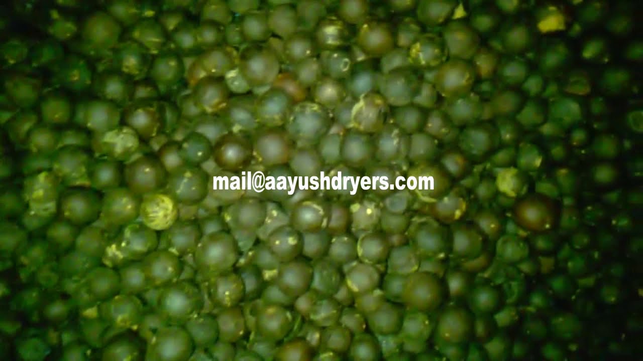 BLACK LEMON DRYER MACHINE FROM AAYUSH ENGINEERING WORKS